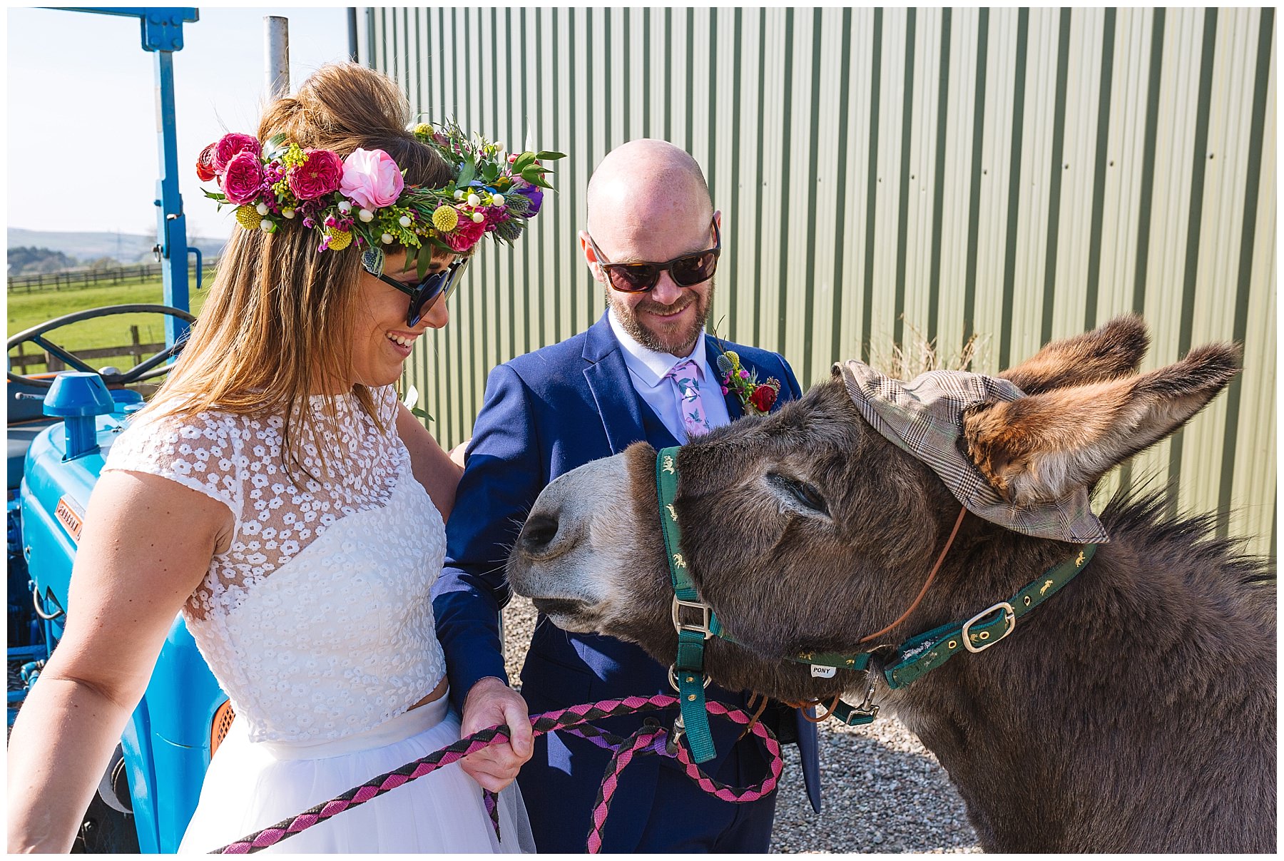 bride and groom and crakerjack the donkey at the wellbeing farm